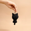 Koji the cat