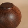 Echoes Vase