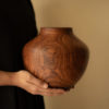 Taro Vase